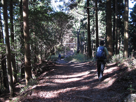 20151127hike (220)
